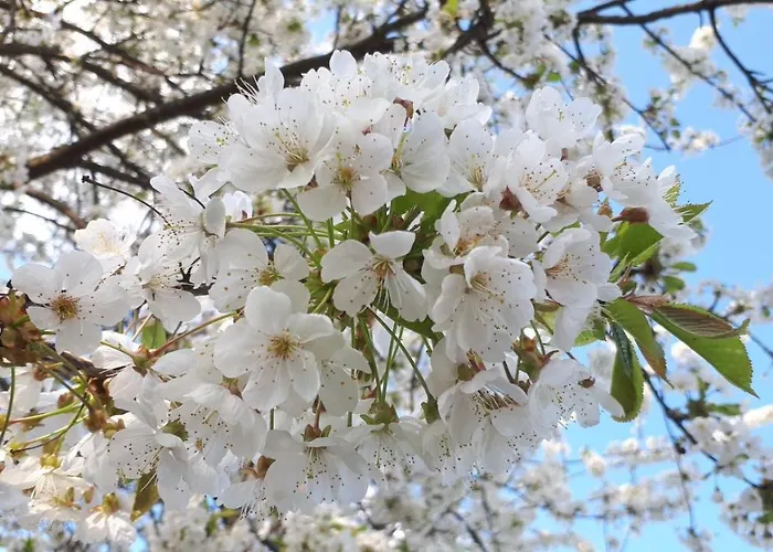 Apartamento Im Taunus *